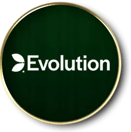 AnyConv.com__evolution